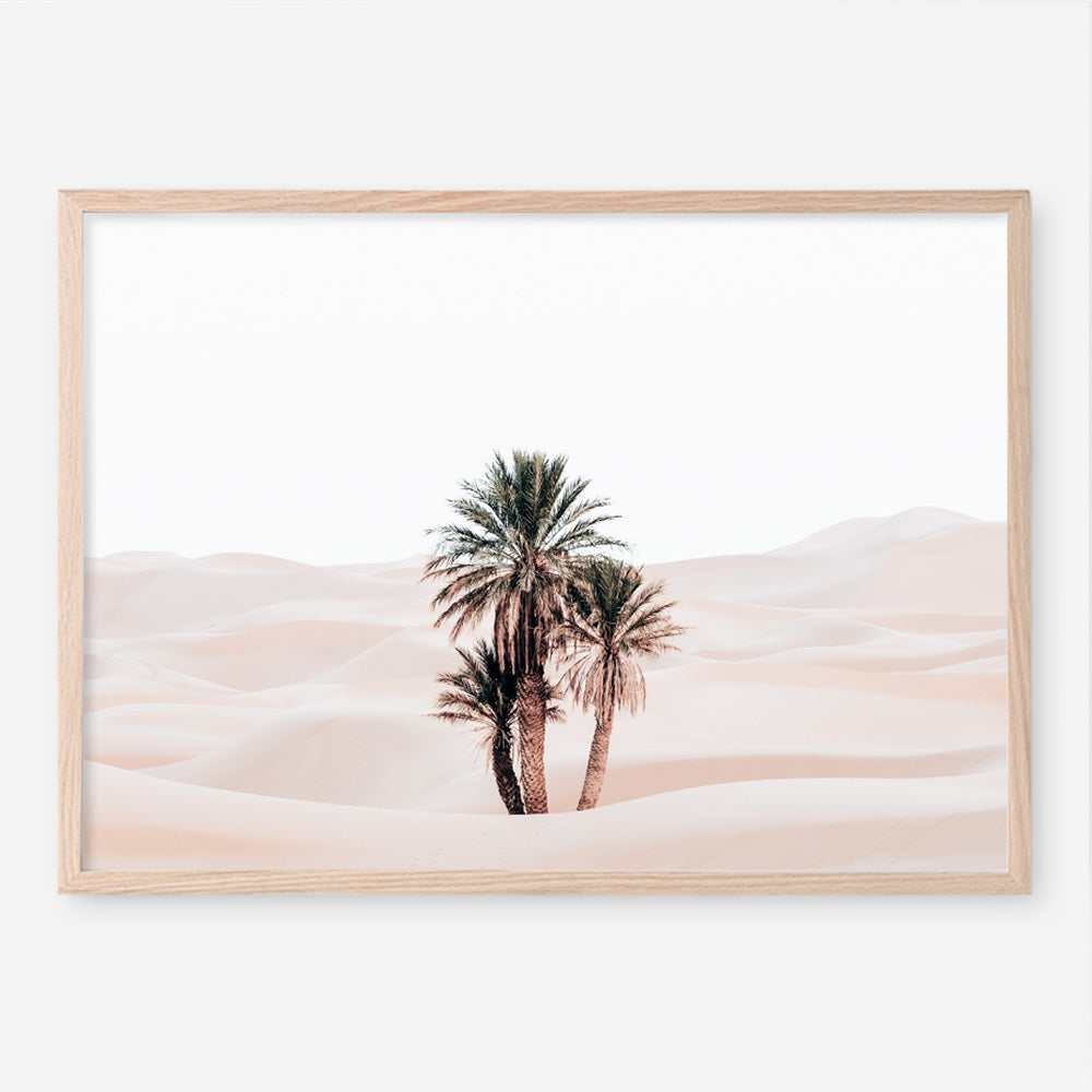Shop Desert Palms I Photo Art Print a Moroccan desert boho themed photography wall art print from The Print Emporium wall artwork collection - Buy Australian made fine art poster and framed prints for the home and your interior decor room, TPE-1293-AP