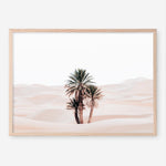 Shop Desert Palms I Photo Art Print a Moroccan desert boho themed photography wall art print from The Print Emporium wall artwork collection - Buy Australian made fine art poster and framed prints for the home and your interior decor room, TPE-1293-AP