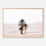 Shop Desert Palms I Photo Art Print a Moroccan desert boho themed photography wall art print from The Print Emporium wall artwork collection - Buy Australian made fine art poster and framed prints for the home and your interior decor room, TPE-1293-AP