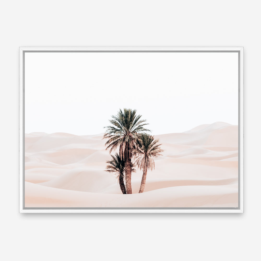 Shop Desert Palms I Photo Canvas Print a photography framed stretched canvas print from The Print Emporium wall artwork collection - Buy Australian made prints for the home and your interior decor space, TPE-1293-CA-35X46-NF