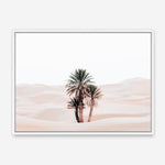 Shop Desert Palms I Photo Canvas Print a photography framed stretched canvas print from The Print Emporium wall artwork collection - Buy Australian made prints for the home and your interior decor space, TPE-1293-CA-35X46-NF