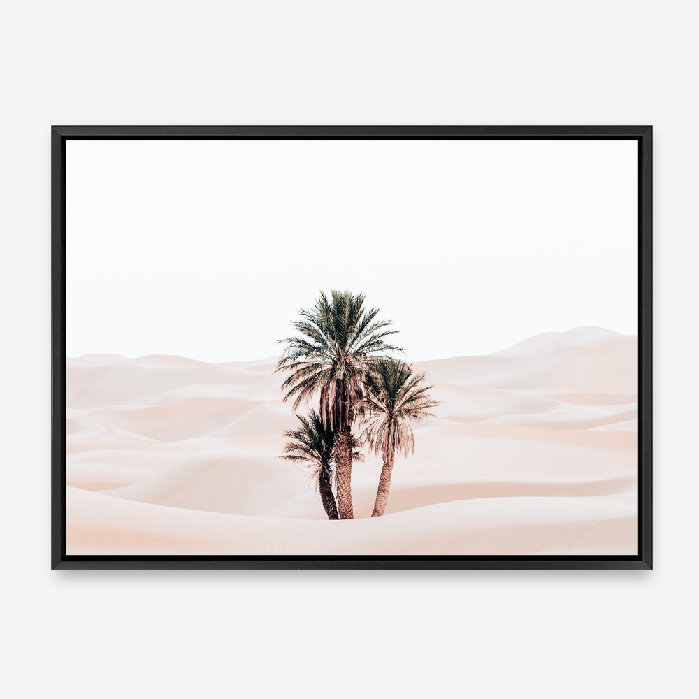 Shop Desert Palms I Photo Canvas Print a photography framed stretched canvas print from The Print Emporium wall artwork collection - Buy Australian made prints for the home and your interior decor space, TPE-1293-CA-35X46-NF