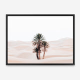 Shop Desert Palms I Photo Canvas Print a photography framed stretched canvas print from The Print Emporium wall artwork collection - Buy Australian made prints for the home and your interior decor space, TPE-1293-CA-35X46-NF