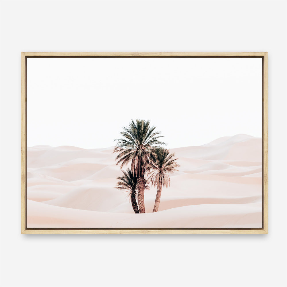 Shop Desert Palms I Photo Canvas Print a photography framed stretched canvas print from The Print Emporium wall artwork collection - Buy Australian made prints for the home and your interior decor space, TPE-1293-CA-35X46-NF