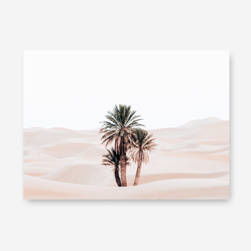 Shop Desert Palms I Photo Canvas Print a photography framed stretched canvas print from The Print Emporium wall artwork collection - Buy Australian made prints for the home and your interior decor space, TPE-1293-CA-35X46-NF