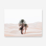 Shop Desert Palms I Photo Canvas Print a photography framed stretched canvas print from The Print Emporium wall artwork collection - Buy Australian made prints for the home and your interior decor space, TPE-1293-CA-35X46-NF