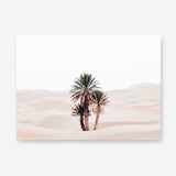 Shop Desert Palms I Photo Canvas Print a photography framed stretched canvas print from The Print Emporium wall artwork collection - Buy Australian made prints for the home and your interior decor space, TPE-1293-CA-35X46-NF