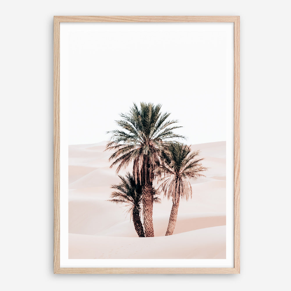 Shop Desert Palms II Photo Art Print a Moroccan desert boho themed photography wall art print from The Print Emporium wall artwork collection - Buy Australian made fine art poster and framed prints for the home and your interior decor room, TPE-1294-AP