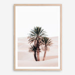 Shop Desert Palms II Photo Art Print a Moroccan desert boho themed photography wall art print from The Print Emporium wall artwork collection - Buy Australian made fine art poster and framed prints for the home and your interior decor room, TPE-1294-AP