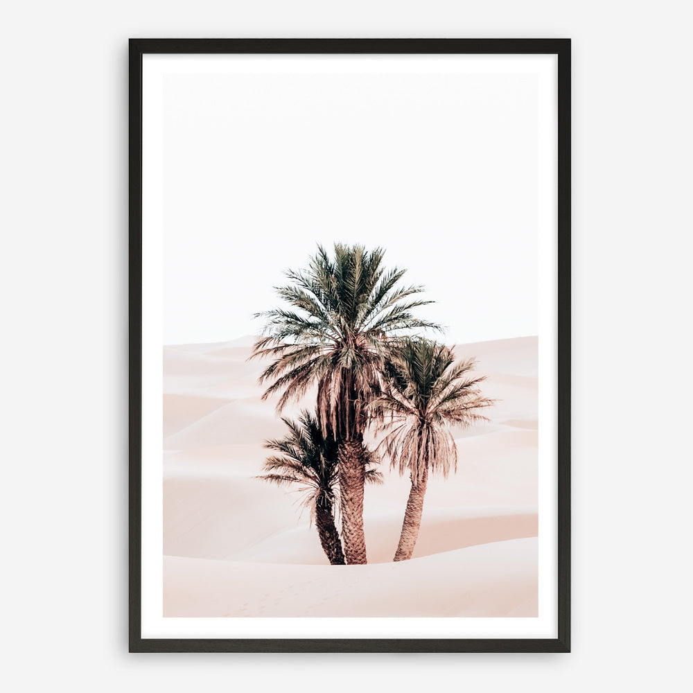 Shop Desert Palms II Photo Art Print a Moroccan desert boho themed photography wall art print from The Print Emporium wall artwork collection - Buy Australian made fine art poster and framed prints for the home and your interior decor room, TPE-1294-AP