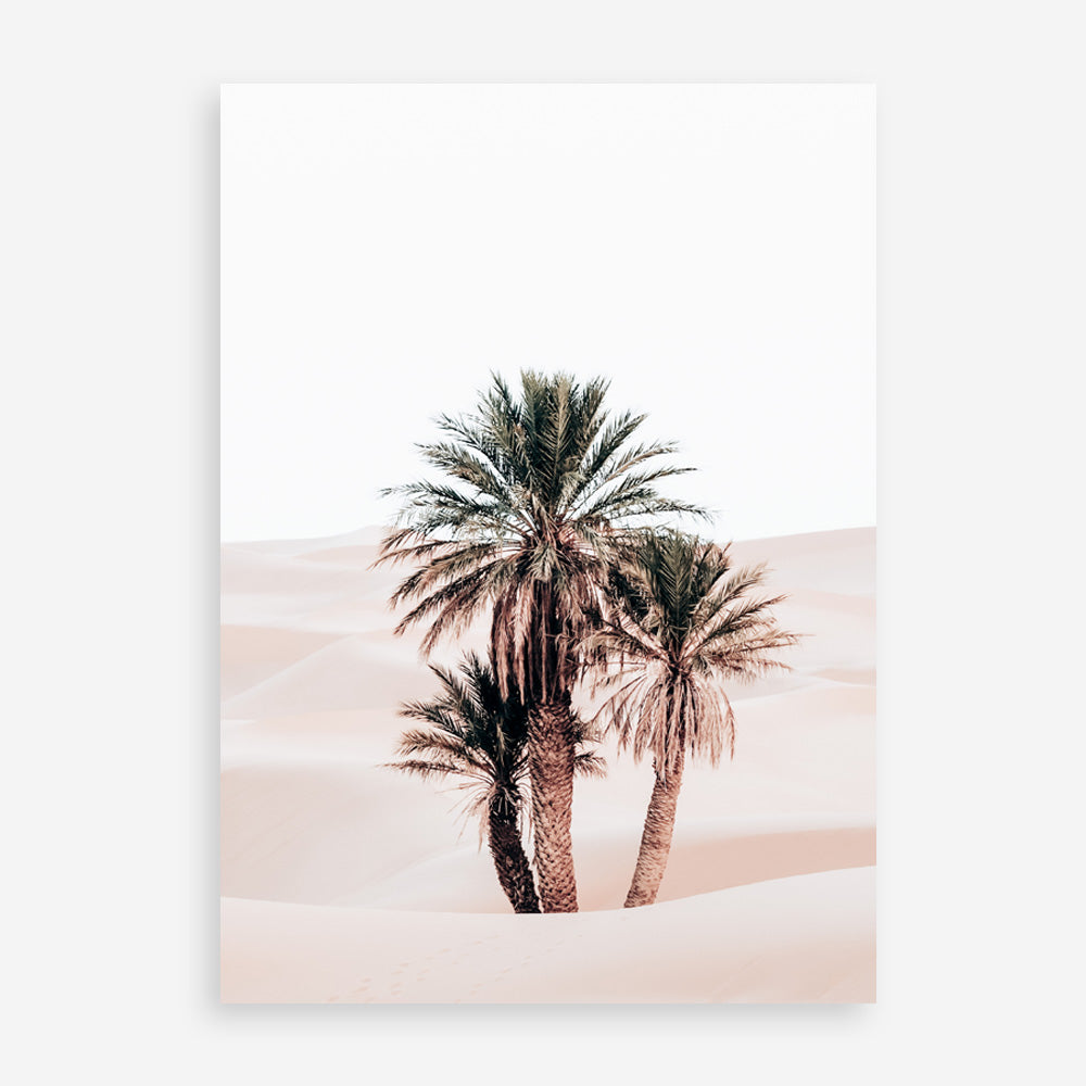 Shop Desert Palms II Photo Art Print a Moroccan desert boho themed photography wall art print from The Print Emporium wall artwork collection - Buy Australian made fine art poster and framed prints for the home and your interior decor room, TPE-1294-AP