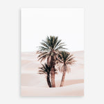 Shop Desert Palms II Photo Art Print a Moroccan desert boho themed photography wall art print from The Print Emporium wall artwork collection - Buy Australian made fine art poster and framed prints for the home and your interior decor room, TPE-1294-AP