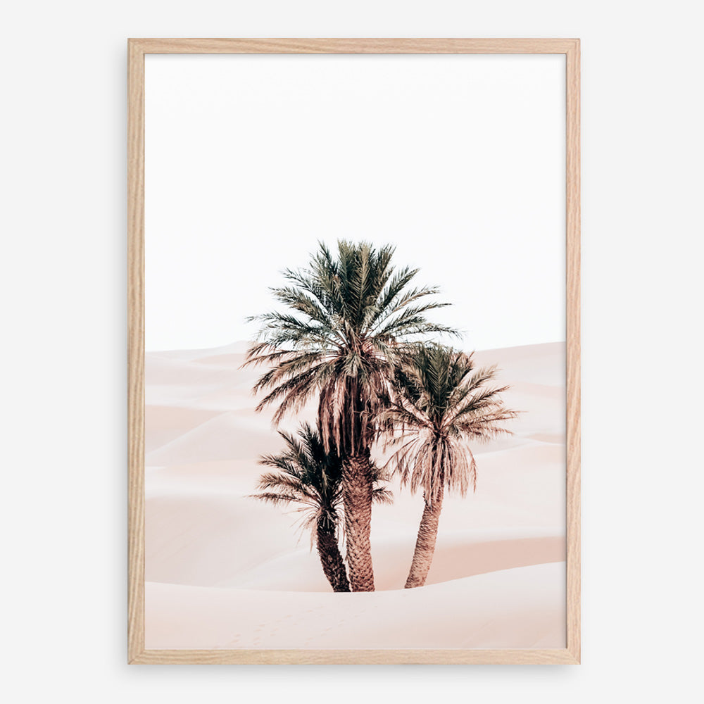 Shop Desert Palms II Photo Art Print a Moroccan desert boho themed photography wall art print from The Print Emporium wall artwork collection - Buy Australian made fine art poster and framed prints for the home and your interior decor room, TPE-1294-AP