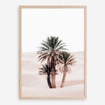 Shop Desert Palms II Photo Art Print a Moroccan desert boho themed photography wall art print from The Print Emporium wall artwork collection - Buy Australian made fine art poster and framed prints for the home and your interior decor room, TPE-1294-AP