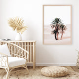 Shop Desert Palms II Photo Art Print a Moroccan desert boho themed photography wall art print from The Print Emporium wall artwork collection - Buy Australian made fine art poster and framed prints for the home and your interior decor room, TPE-1294-AP