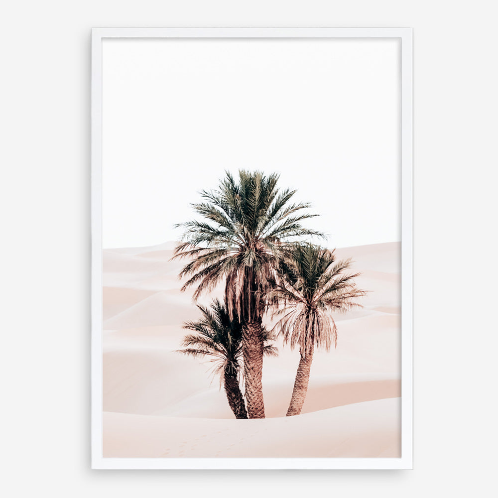 Shop Desert Palms II Photo Art Print a Moroccan desert boho themed photography wall art print from The Print Emporium wall artwork collection - Buy Australian made fine art poster and framed prints for the home and your interior decor room, TPE-1294-AP