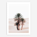 Shop Desert Palms II Photo Art Print a Moroccan desert boho themed photography wall art print from The Print Emporium wall artwork collection - Buy Australian made fine art poster and framed prints for the home and your interior decor room, TPE-1294-AP