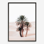 Shop Desert Palms II Photo Art Print a Moroccan desert boho themed photography wall art print from The Print Emporium wall artwork collection - Buy Australian made fine art poster and framed prints for the home and your interior decor room, TPE-1294-AP