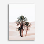 Shop Desert Palms II Photo Canvas Print a Moroccan desert boho themed photography framed stretched canvas print from The Print Emporium wall artwork collection - Buy Australian made prints for the home and your interior decor space, TPE-1294-CA-35X46-NF