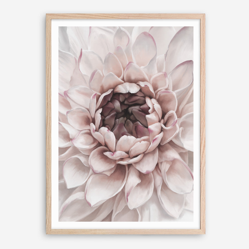 Shop Divine Dahlia II Art Print a floral themed painted wall art print from The Print Emporium wall artwork collection - Buy Australian made fine art painting style poster and framed prints for the home and your interior decor room, TPE-491-AP