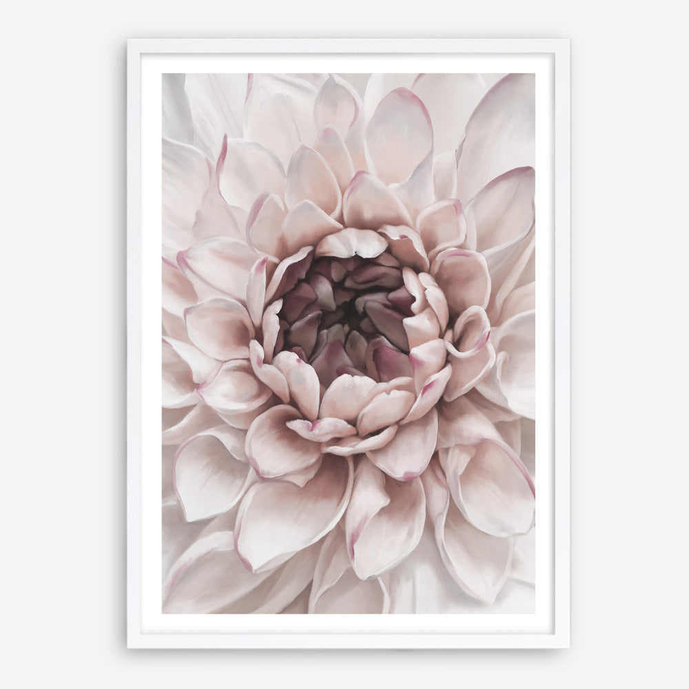 Shop Divine Dahlia II Art Print a floral themed painted wall art print from The Print Emporium wall artwork collection - Buy Australian made fine art painting style poster and framed prints for the home and your interior decor room, TPE-491-AP