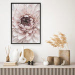 Shop Divine Dahlia II Art Print a floral themed painted wall art print from The Print Emporium wall artwork collection - Buy Australian made fine art painting style poster and framed prints for the home and your interior decor room, TPE-491-AP