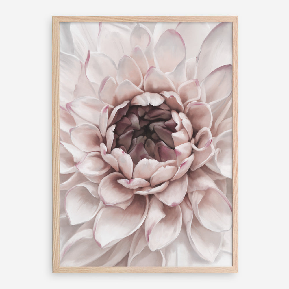 Shop Divine Dahlia II Art Print a floral themed painted wall art print from The Print Emporium wall artwork collection - Buy Australian made fine art painting style poster and framed prints for the home and your interior decor room, TPE-491-AP