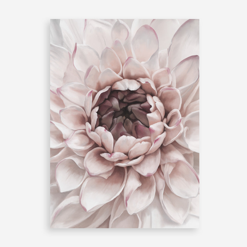 Shop Divine Dahlia II Art Print a floral themed painted wall art print from The Print Emporium wall artwork collection - Buy Australian made fine art painting style poster and framed prints for the home and your interior decor room, TPE-491-AP