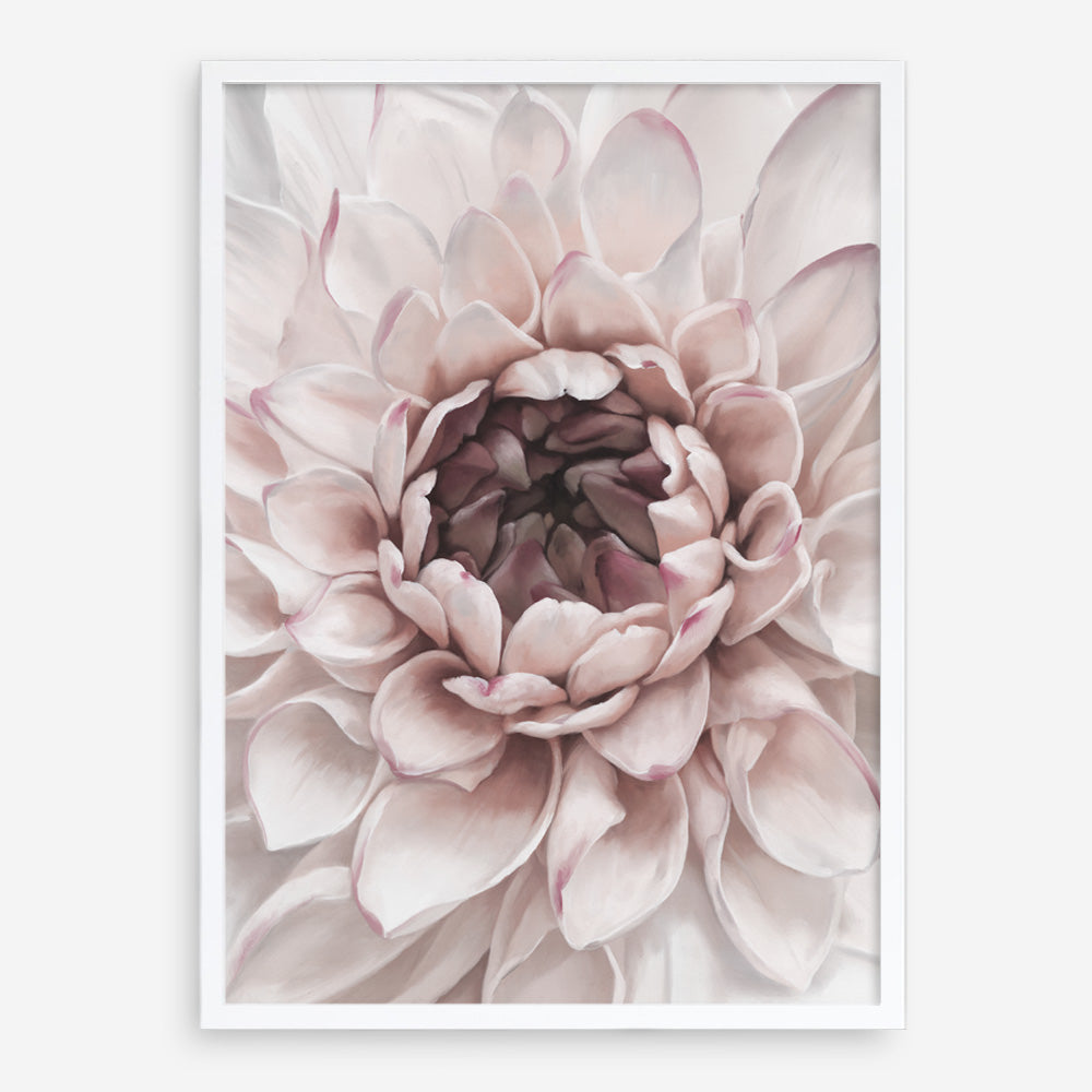 Shop Divine Dahlia II Art Print a floral themed painted wall art print from The Print Emporium wall artwork collection - Buy Australian made fine art painting style poster and framed prints for the home and your interior decor room, TPE-491-AP