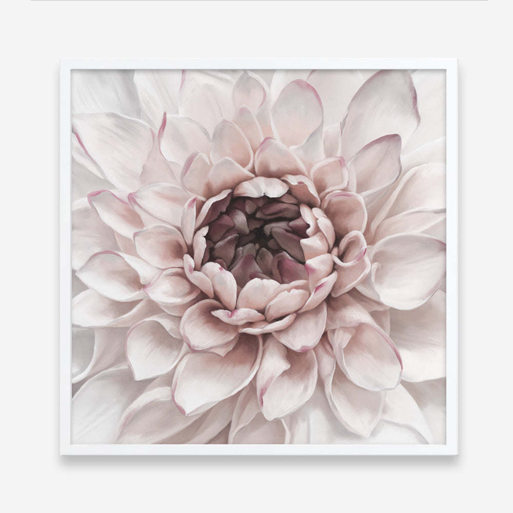 Shop Divine Dahlia II (Square) Art Print a floral themed painted wall art print from The Print Emporium wall artwork collection - Buy Australian made fine art painting style poster and framed prints for the home and your interior decor room, TPE-492-AP