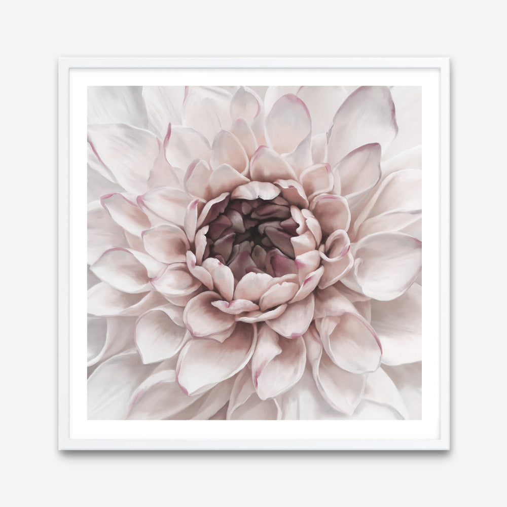 Shop Divine Dahlia II (Square) Art Print a floral themed painted wall art print from The Print Emporium wall artwork collection - Buy Australian made fine art painting style poster and framed prints for the home and your interior decor room, TPE-492-AP