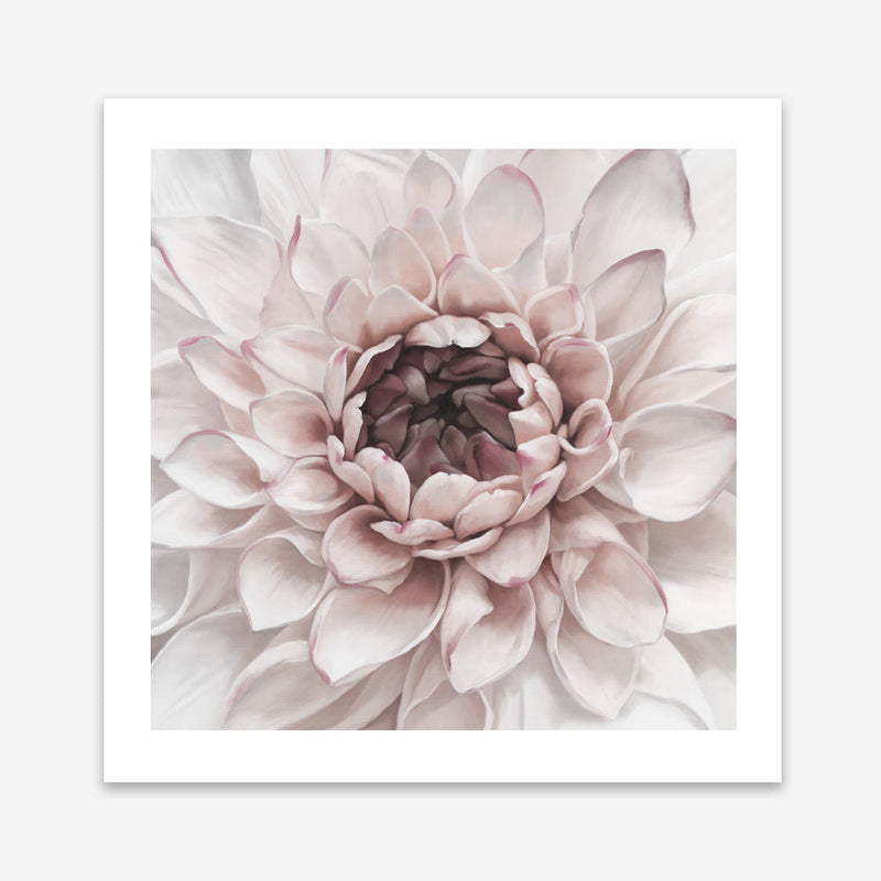 Shop Divine Dahlia II (Square) Art Print a floral themed painted wall art print from The Print Emporium wall artwork collection - Buy Australian made fine art painting style poster and framed prints for the home and your interior decor room, TPE-492-AP