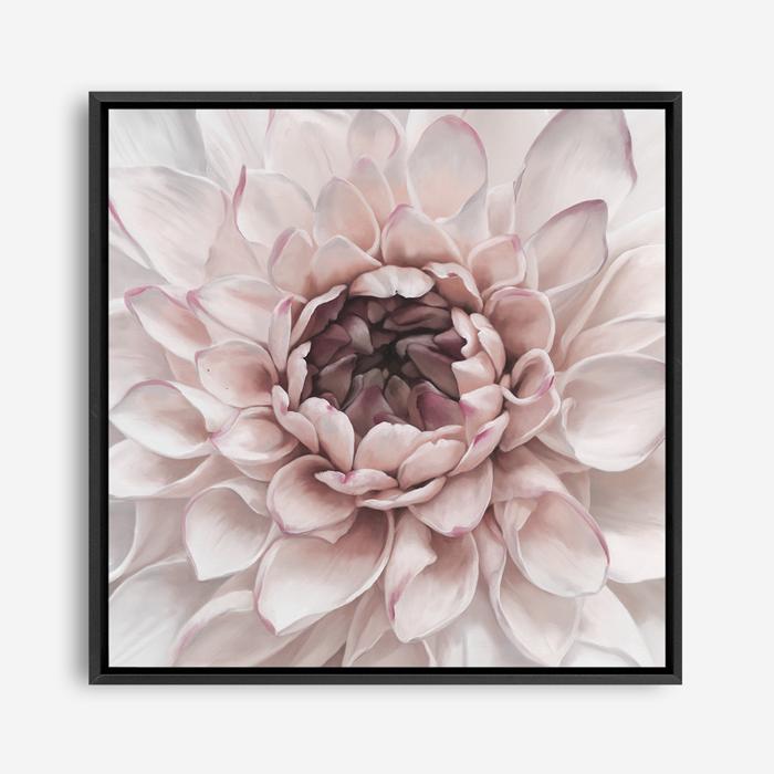 Shop Divine Dahlia II (Square) Canvas Print a floral themed painted framed canvas wall art print from The Print Emporium artwork collection - Buy Australian made fine art painting style stretched canvas prints for the home and your interior decor space, TPE-492-CA-40X40-NF