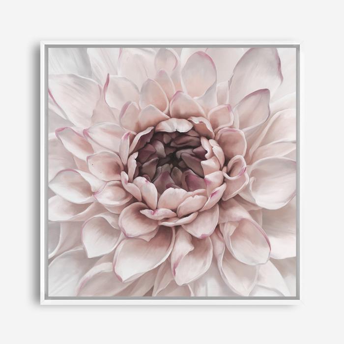 Shop Divine Dahlia II (Square) Canvas Print a floral themed painted framed canvas wall art print from The Print Emporium artwork collection - Buy Australian made fine art painting style stretched canvas prints for the home and your interior decor space, TPE-492-CA-40X40-NF