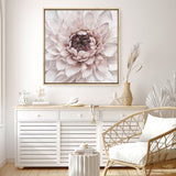 Shop Divine Dahlia II (Square) Canvas Print a floral themed painted framed canvas wall art print from The Print Emporium artwork collection - Buy Australian made fine art painting style stretched canvas prints for the home and your interior decor space, TPE-492-CA-40X40-NF