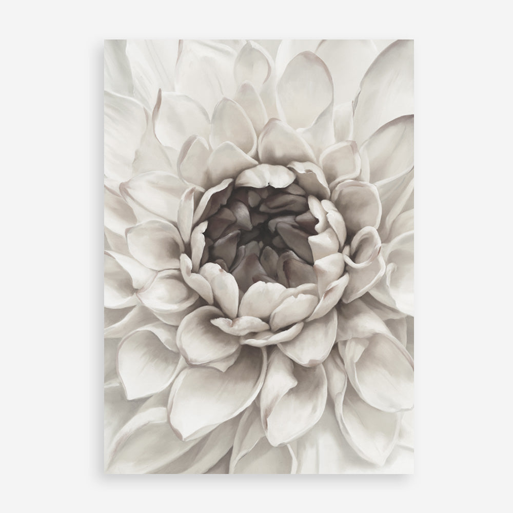 Shop Divine Dahlia III Art Print a floral themed painted wall art print from The Print Emporium wall artwork collection - Buy Australian made fine art painting style poster and framed prints for the home and your interior decor room, TPE-494-AP