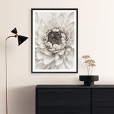 Shop Divine Dahlia III Art Print a floral themed painted wall art print from The Print Emporium wall artwork collection - Buy Australian made fine art painting style poster and framed prints for the home and your interior decor room, TPE-494-AP