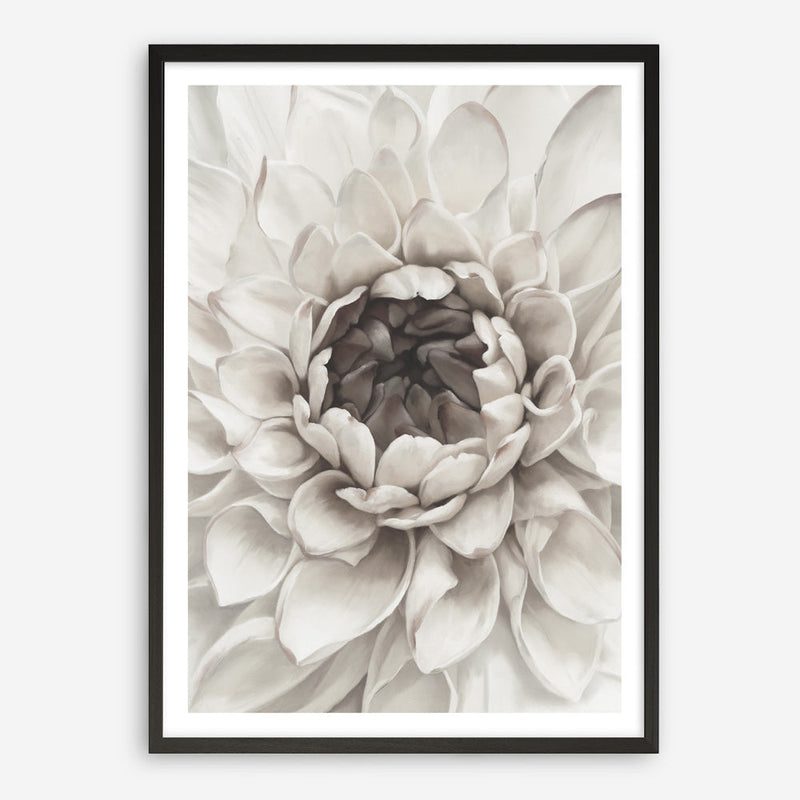 Shop Divine Dahlia III Art Print a floral themed painted wall art print from The Print Emporium wall artwork collection - Buy Australian made fine art painting style poster and framed prints for the home and your interior decor room, TPE-494-AP