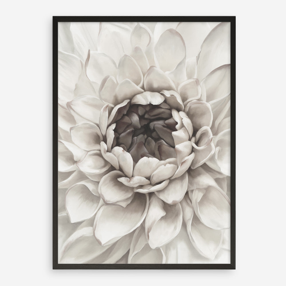 Shop Divine Dahlia III Art Print a floral themed painted wall art print from The Print Emporium wall artwork collection - Buy Australian made fine art painting style poster and framed prints for the home and your interior decor room, TPE-494-AP