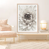 Shop Divine Dahlia III Art Print a floral themed painted wall art print from The Print Emporium wall artwork collection - Buy Australian made fine art painting style poster and framed prints for the home and your interior decor room, TPE-494-AP