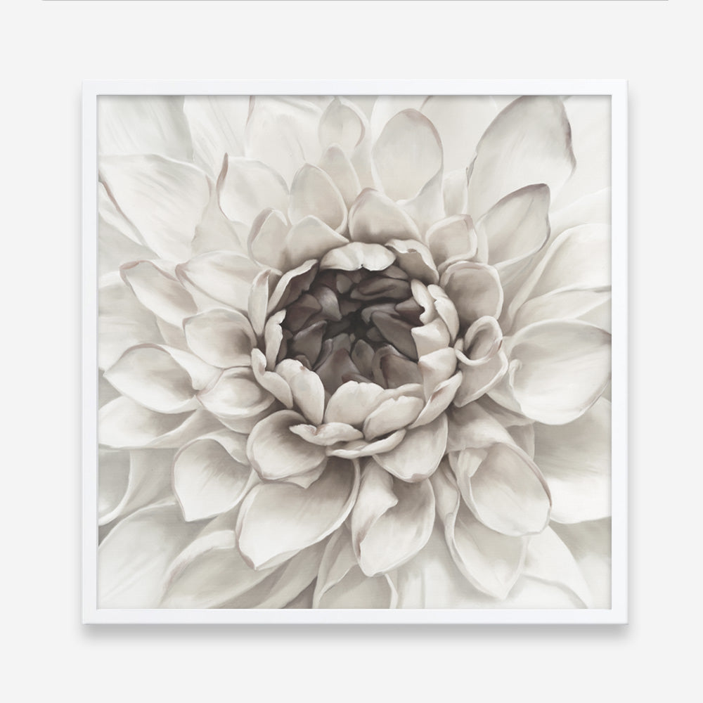 Shop Divine Dahlia III (Square) Art Print a floral themed painted wall art print from The Print Emporium wall artwork collection - Buy Australian made fine art painting style poster and framed prints for the home and your interior decor room, TPE-493-AP