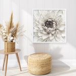 Shop Divine Dahlia III (Square) Art Print a floral themed painted wall art print from The Print Emporium wall artwork collection - Buy Australian made fine art painting style poster and framed prints for the home and your interior decor room, TPE-493-AP