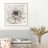 Shop Divine Dahlia III (Square) Art Print a floral themed painted wall art print from The Print Emporium wall artwork collection - Buy Australian made fine art painting style poster and framed prints for the home and your interior decor room, TPE-493-AP