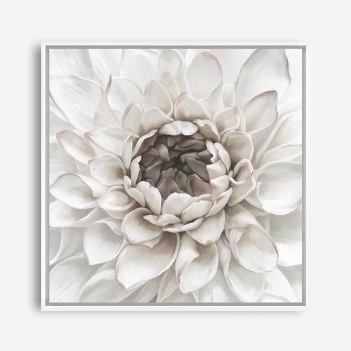 Shop Divine Dahlia III (Square) Canvas Print a floral themed painted framed canvas wall art print from The Print Emporium artwork collection - Buy Australian made fine art painting style stretched canvas prints for the home and your interior decor space, TPE-493-CA-40X40-NF