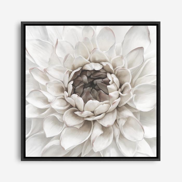 Shop Divine Dahlia III (Square) Canvas Print a floral themed painted framed canvas wall art print from The Print Emporium artwork collection - Buy Australian made fine art painting style stretched canvas prints for the home and your interior decor space, TPE-493-CA-40X40-NF