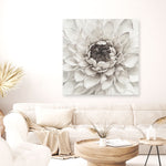 Shop Divine Dahlia III (Square) Canvas Print a floral themed painted framed canvas wall art print from The Print Emporium artwork collection - Buy Australian made fine art painting style stretched canvas prints for the home and your interior decor space, TPE-493-CA-40X40-NF