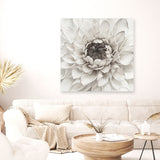Shop Divine Dahlia III (Square) Canvas Print a floral themed painted framed canvas wall art print from The Print Emporium artwork collection - Buy Australian made fine art painting style stretched canvas prints for the home and your interior decor space, TPE-493-CA-40X40-NF