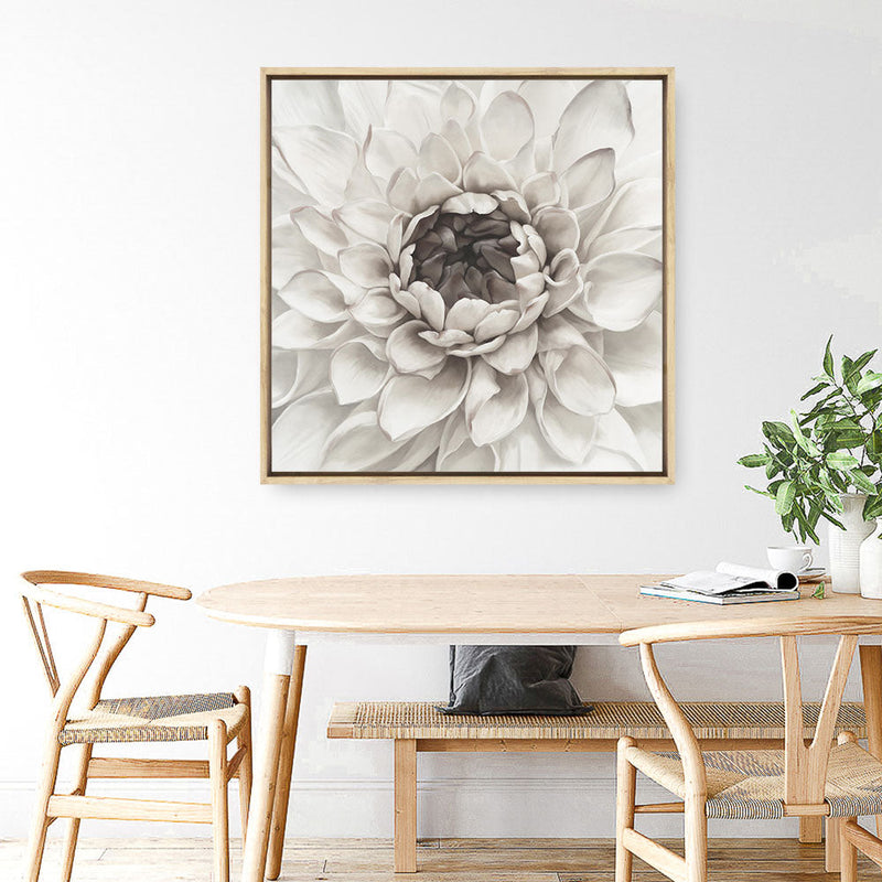 Shop Divine Dahlia III (Square) Canvas Print a floral themed painted framed canvas wall art print from The Print Emporium artwork collection - Buy Australian made fine art painting style stretched canvas prints for the home and your interior decor space, TPE-493-CA-40X40-NF