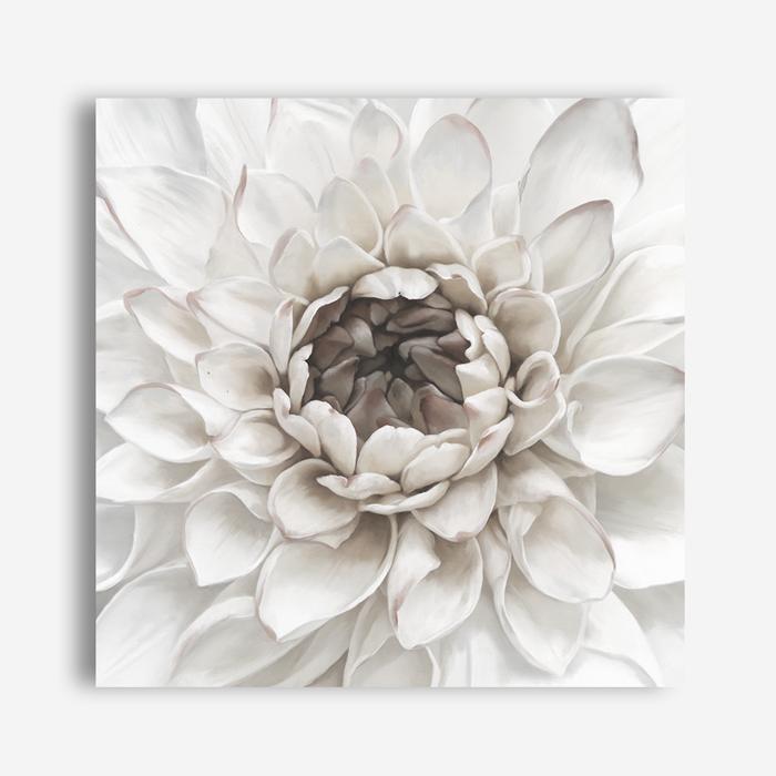 Shop Divine Dahlia III (Square) Canvas Print a floral themed painted framed canvas wall art print from The Print Emporium artwork collection - Buy Australian made fine art painting style stretched canvas prints for the home and your interior decor space, TPE-493-CA-40X40-NF