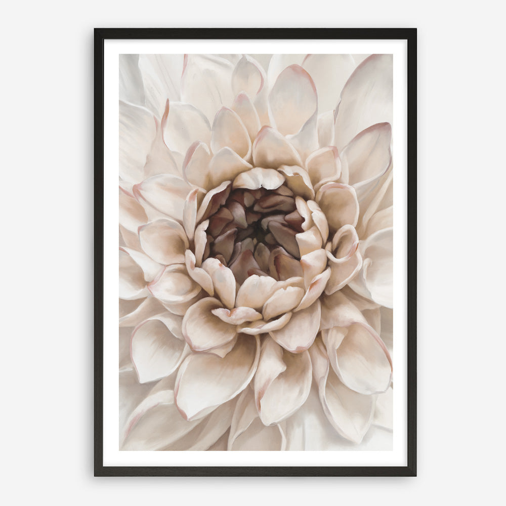 Shop Divine Dahlia IV Art Print a floral themed painted wall art print from The Print Emporium wall artwork collection - Buy Australian made fine art painting style poster and framed prints for the home and your interior decor room, TPE-495-AP